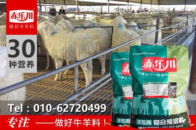 肉羊催肥料精應用指南與信息咨詢服務解析